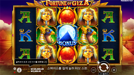 5 라이언즈 메가웨이즈